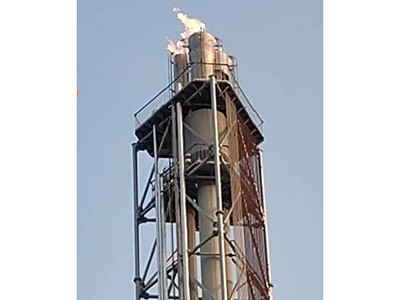 江蘇晉控-高架火炬圖片4